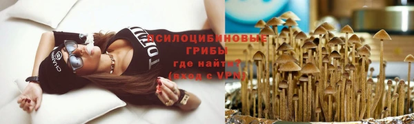 СК Козельск