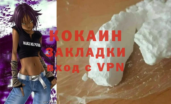 гидра Кодинск