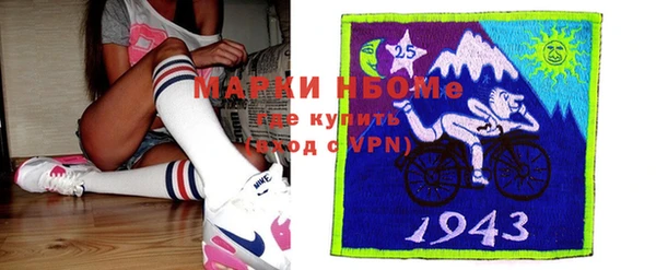 гашик Алексеевка